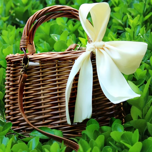 Mini handbag